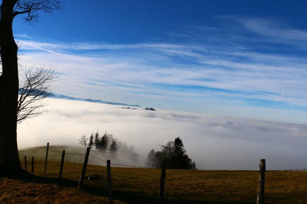 Miniponyhof Biohof Almbauer Apartment ไวด์โฮเฟิน อัน แดร์อิบส์ ภายนอก รูปภาพ
